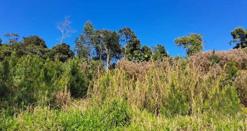 Fazenda à venda na BENEDITO NOVO, Barra São João, Benedito Novo