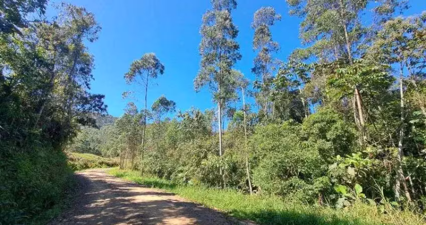 Fazenda à venda na BENEDITO NOVO, S/N, Barra São João, Benedito Novo