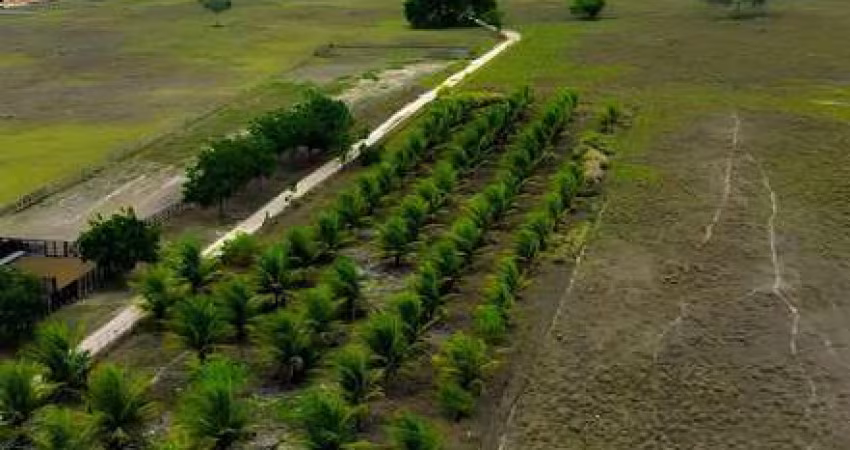 Fazenda em Brejinho