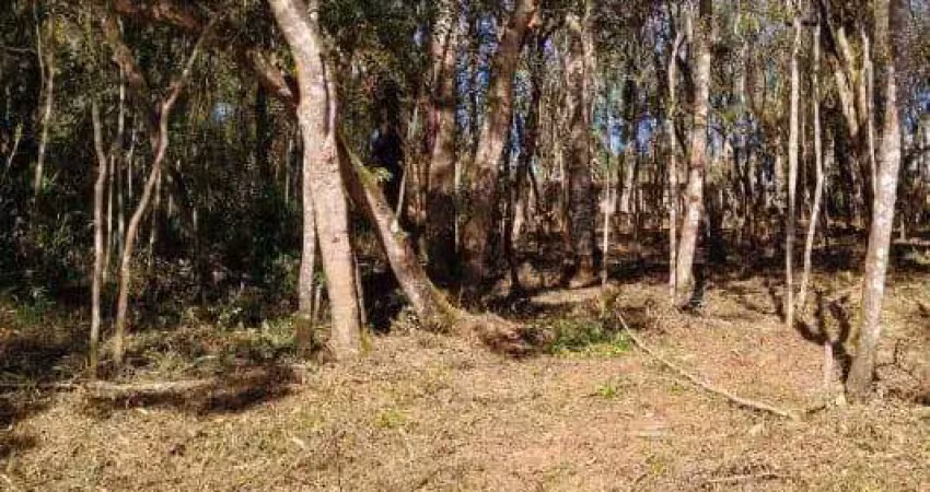 Terreno à venda na Alameda dos Eucaliptos, 957, Pirucaia, Mairiporã