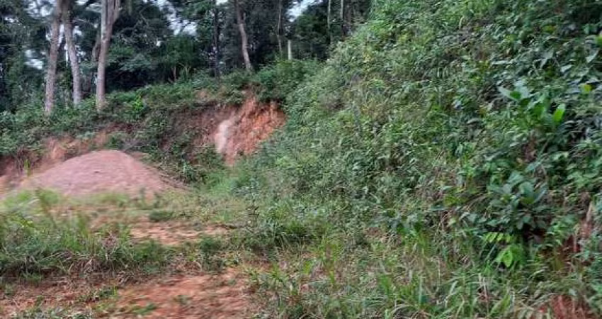 Terreno Pronto para Construir em Área Segura e Acessível