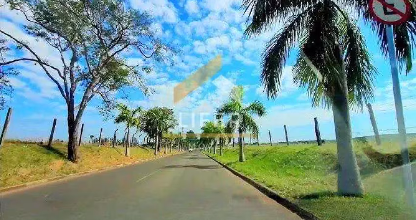 Terreno em condomínio fechado à venda na Rua José Abelardo Barbosa, 784, Parque Xangrilá, Campinas