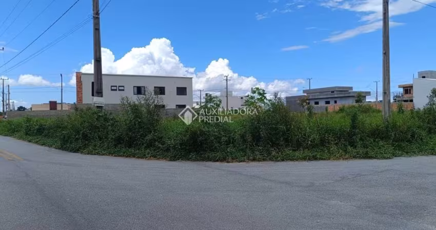 Terreno à venda na Alessandra De Andrade Klettenberg, 538, Guarda do Cubatão, Palhoça