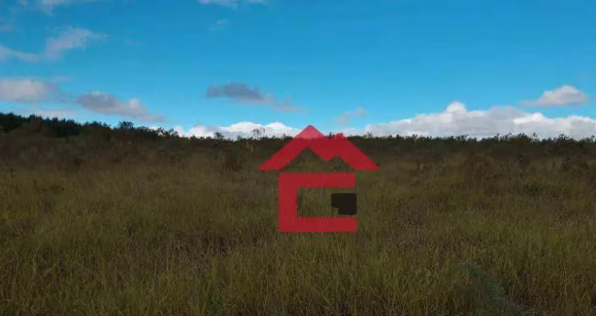 Área à venda, 48500 m² por r$ 395.000,00 - fazenda alvamar - piedade/sp