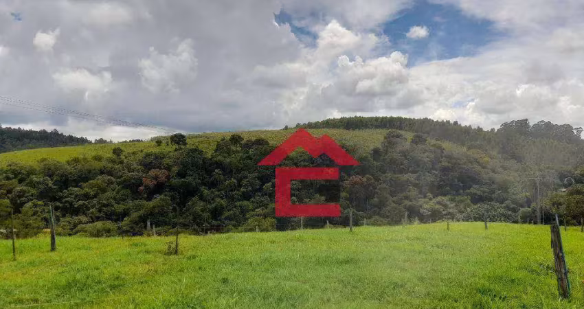 Piedade sp- sitio com 30.000m² . toda área esta com pastagem e atualmente arrendada para criação de gados, com nascente e riacho na divisa,
