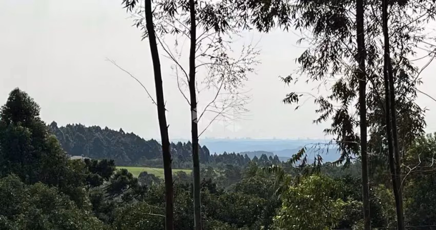 Chácara / sítio à venda na Rua Antônio Schoeler, 111, Linha Imperial, Nova Petrópolis
