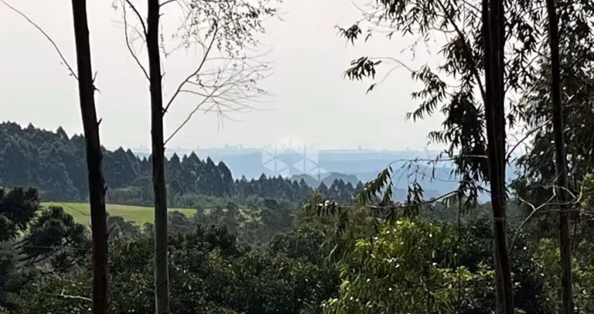 Chácara / sítio à venda na Rua Antônio Schoeler, 111, Linha Imperial, Nova Petrópolis
