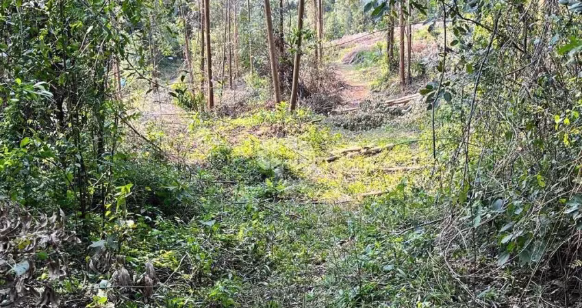 Chácara de 3ha à venda por R$ 680.000