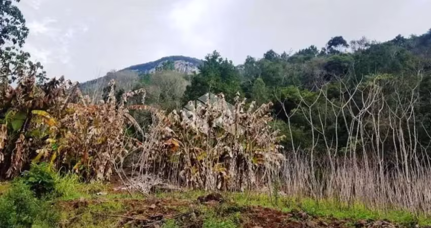 Chácara / sítio à venda na Linha Riachuelo, 100, Linha Brasil, Nova Petrópolis