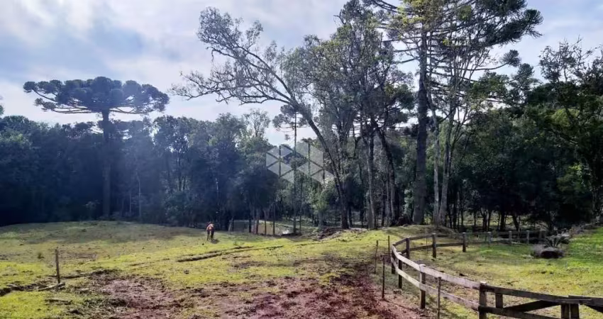 Chácara / sítio à venda na Antonio Schoeller, 1001, Linha Imperial, Nova Petrópolis