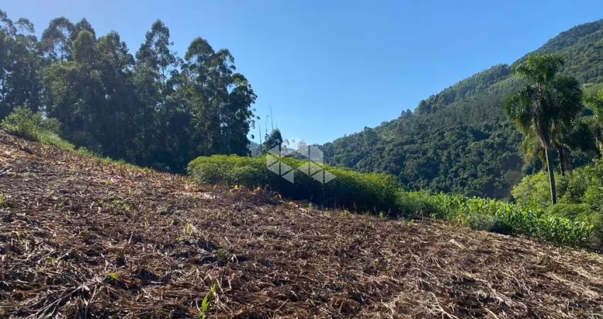 Chácara com vista e riacho na Serra Gaúcha