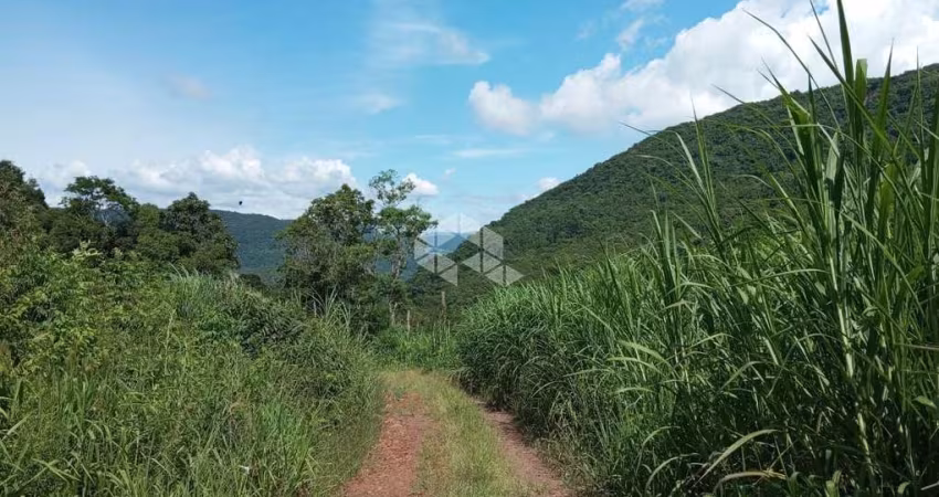 Chácara de 2,4 ha para v enda por R$ 300.000