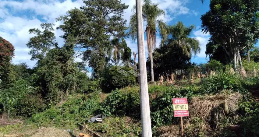 Terreno à venda na Baldoino Rauch, 10, Vila Germania, Nova Petrópolis
