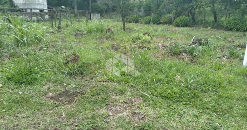 Excepcional terreno de frente para a BR116