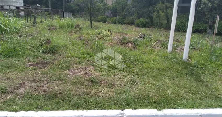 Terreno à venda na rodovia presidente getulio vargas, 278, Bavária, Nova Petrópolis