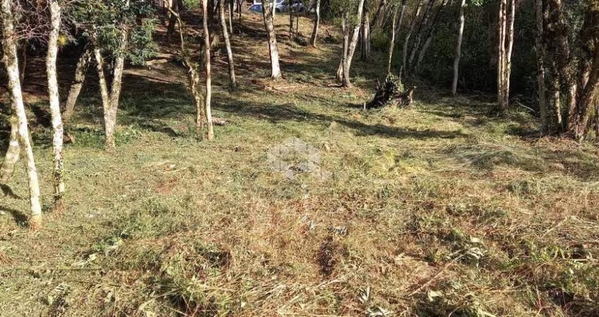 Terreno amplo