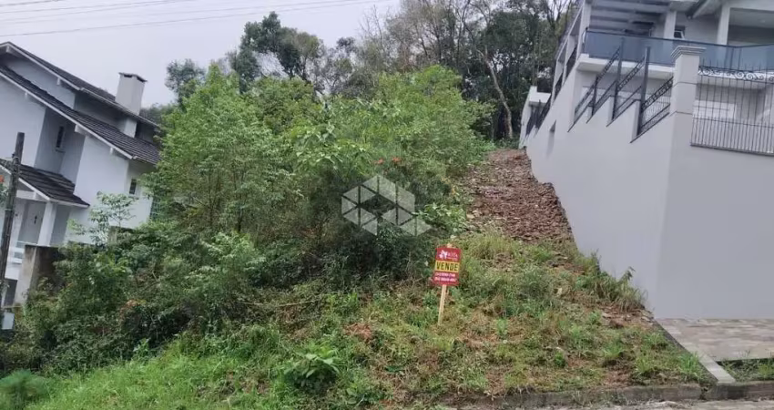 Terreno no bairro pousada da neve, nova petrópolis na serra gaúcha.