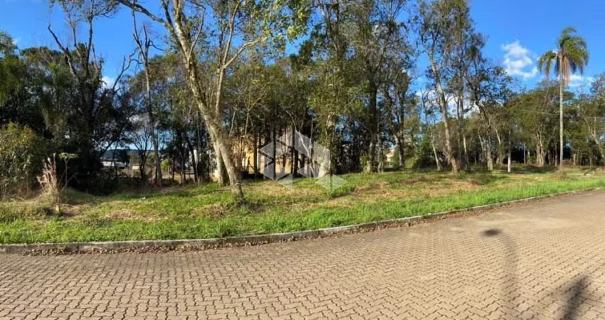 Terreno em bairro nobre