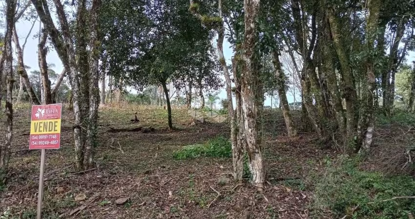 Terreno com 813m² em Nova Petrópolis
