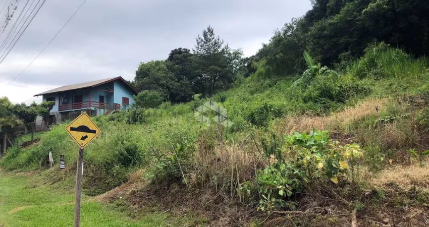 Terreno em Picada Café Próximo a BR-116