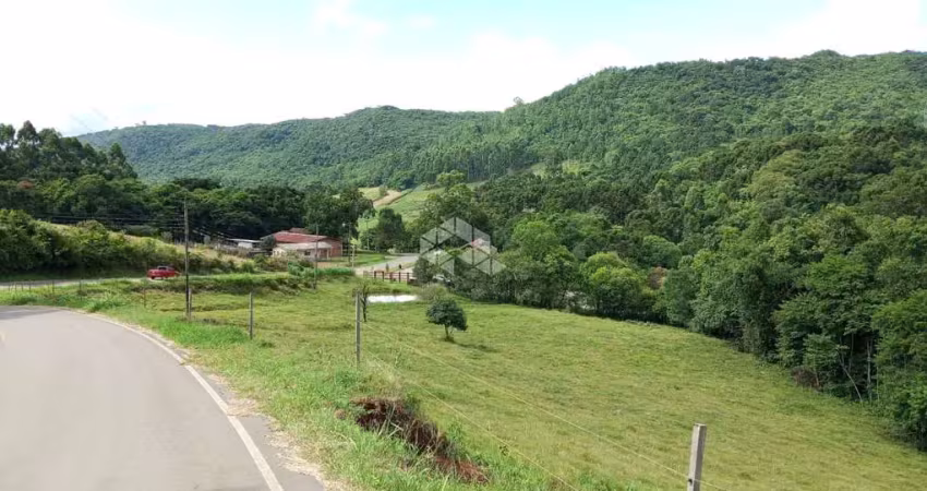 Chácara / sítio à venda na Nove Colônia, 1, Zona Rural, Nova Petrópolis