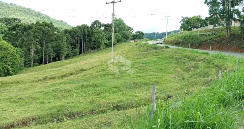 Chácara / sítio à venda na Nove Colônia, 1, Zona Rural, Nova Petrópolis