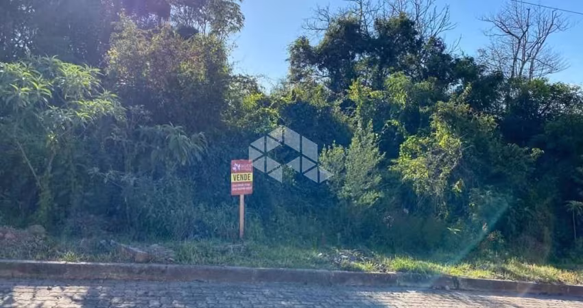 Terreno com vista