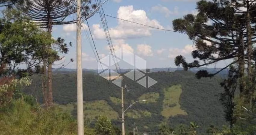 Terreno em loteamento com vista na serra gaúcha em Nova Petópolis