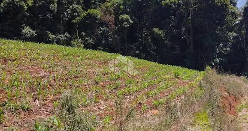 Terreno no bairro Pinhal Alto em Nova Petrópolis