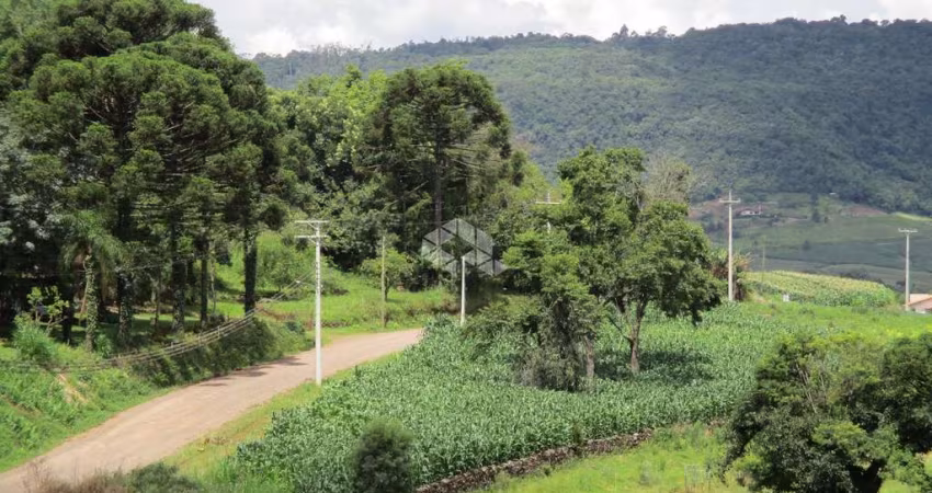 Chácara na localidade de Nove Colônias, cidade de Nova Petrópolis na serra gaúcha.