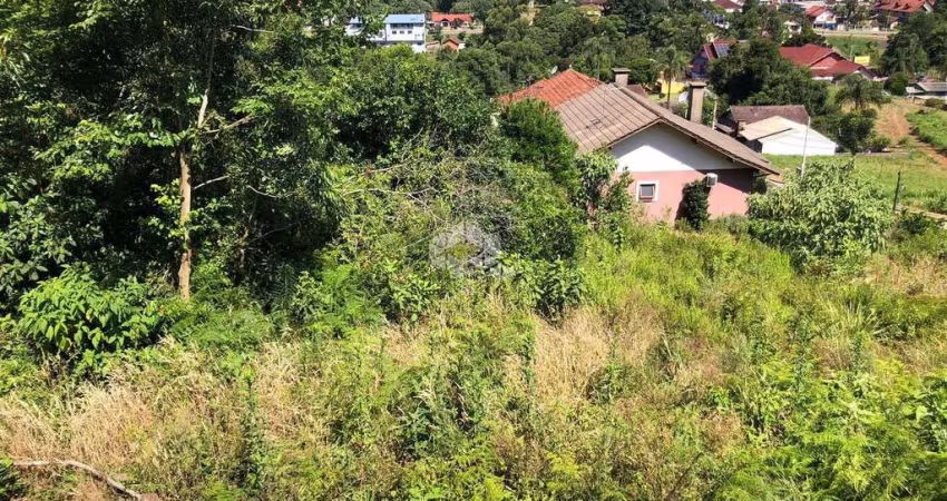 Terreno de esquina no bairro Pousada da Neve em Nova Petrópolis/ Serra Gaúcha