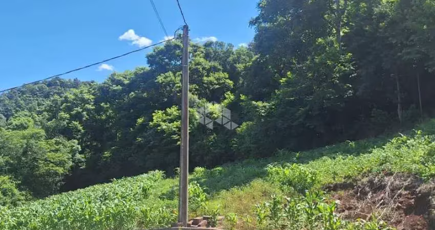 Terreno com 936,02 m2 em área arborizada na serra gaúcha a venda por r$ 159.000,00