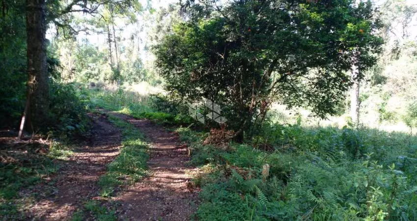 Chácara / sítio à venda na Vicente Prieto, 10761, Pinhal Alto, Nova Petrópolis