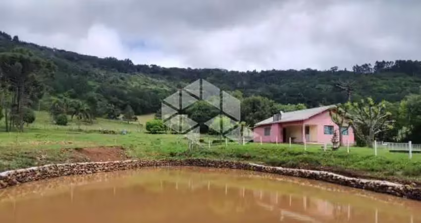 Chácara / sítio com 1 quarto à venda na Nove Colônias, 3, Zona Rural, Nova Petrópolis