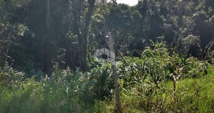 Ótimo terreno em Nova Petrópolis ' Linha Olinda '.