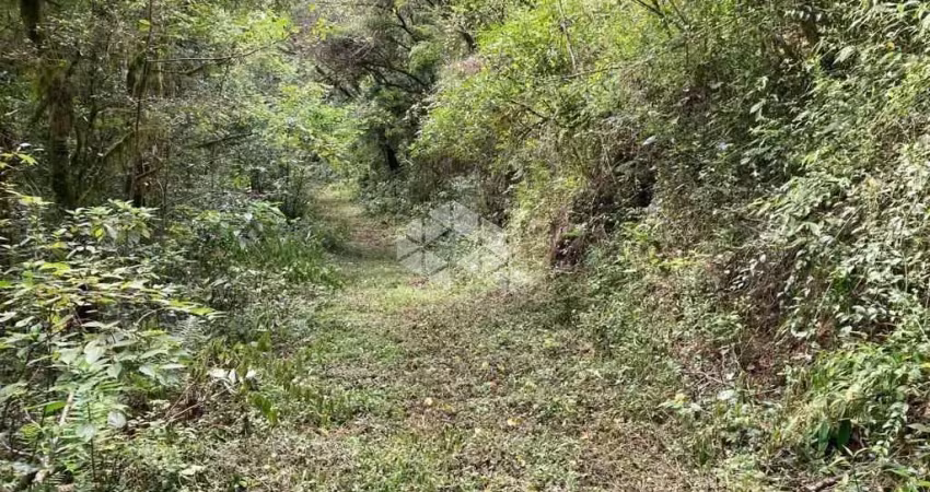 Chácara / sítio à venda na Linha Pirajá, 1, Zona Rural, Nova Petrópolis