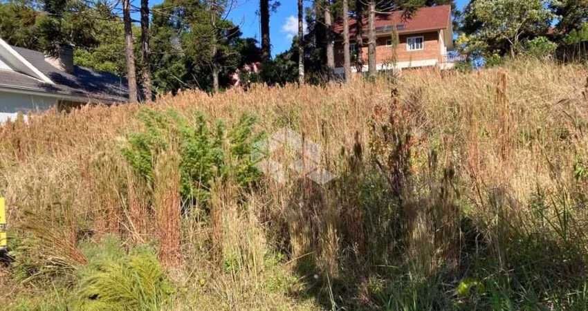 Excelente terreno em Nova Petrópolis.