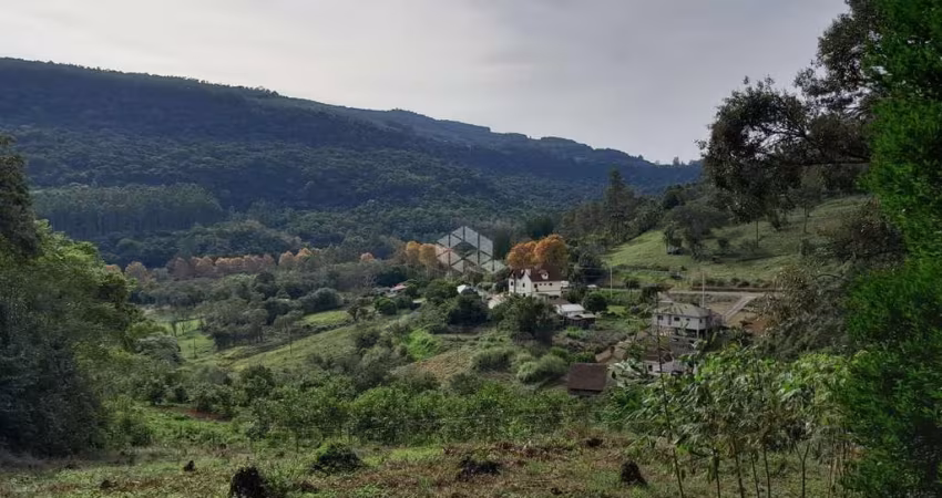 Terrenos com vista