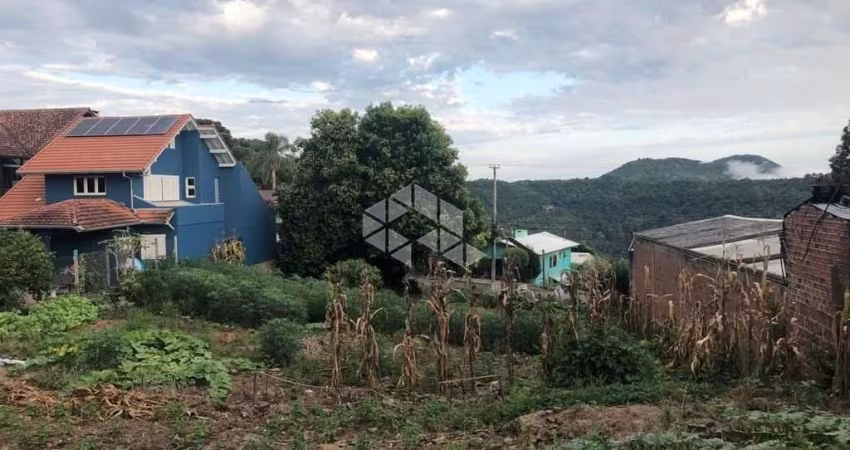 Terreno amplo em Nova Petrópolis em localização central.