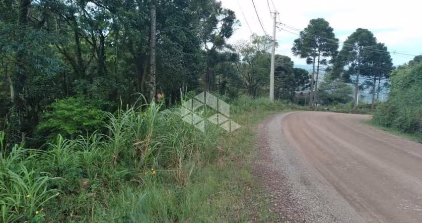 Terreno próximo ao centro em Nova Petrópolis