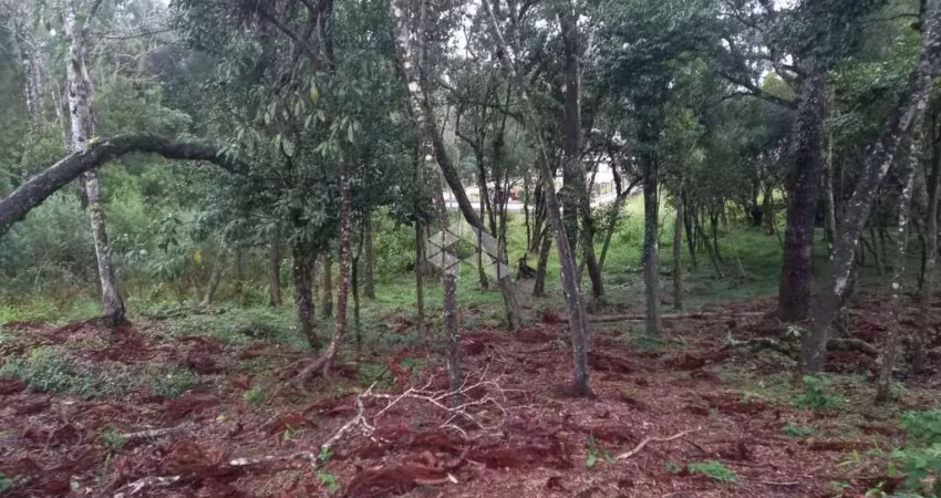 Terreno à venda na Eugenio Adolfo Michaelsen, 10, Vila Germania, Nova Petrópolis