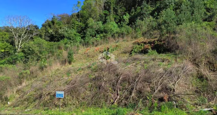 Terreno no loteamento residencial colinas em nova petrópolis, na serra gaúcha!