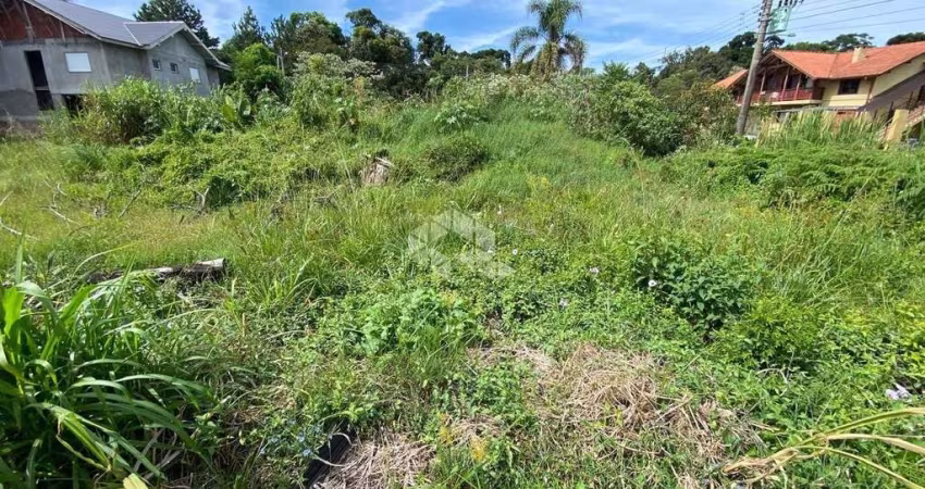 Terreno plano