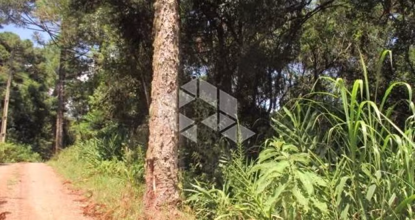 Chácara em Nova Petrópolis na serra gaúcha