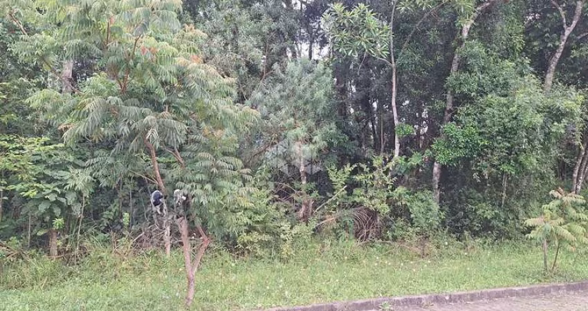 Terreno com 370,50 m2 em área arborizada residencial na serra gaúcha
