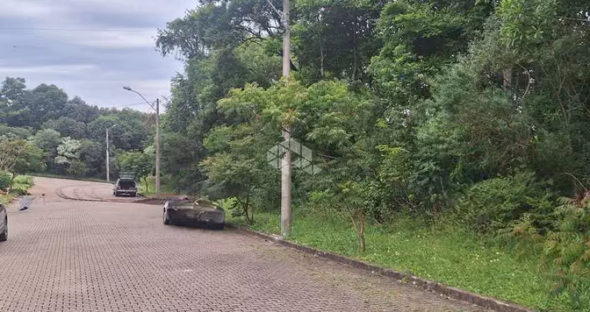 Terreno com 370,50 m2 em área arborizada residencial na serra gaúcha