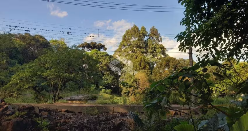 Terreno no Bairro Bavária em Nova Petrópolis / Serra Gaúcha