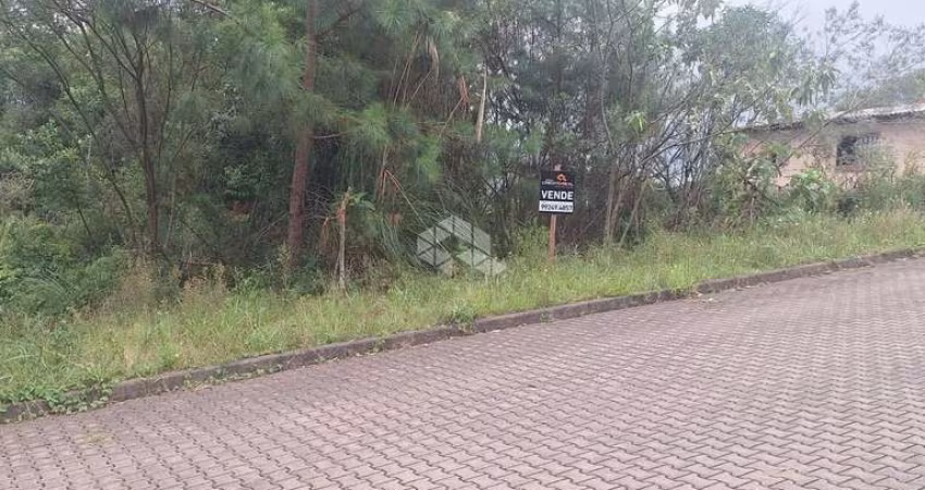 Terreno na serra gaúcha com 370,50 m2 em área residencial com vista.