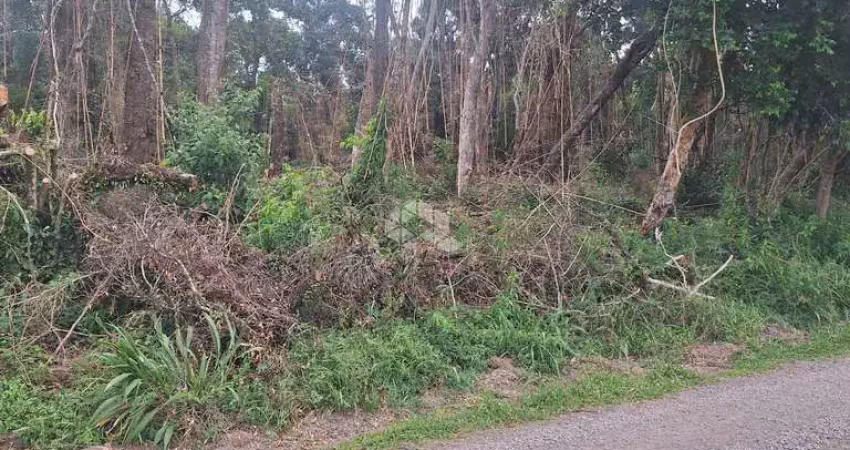 Terreno com 933,66 m2 em área de constante valorização na serra gaúcha.