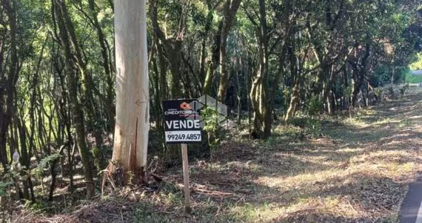 Chácara no munícipio de Linha Nova na serra gaúcha.
